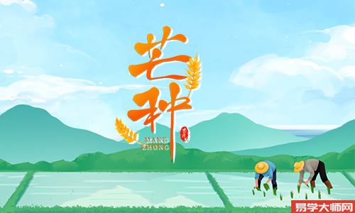 2025年芒种对照