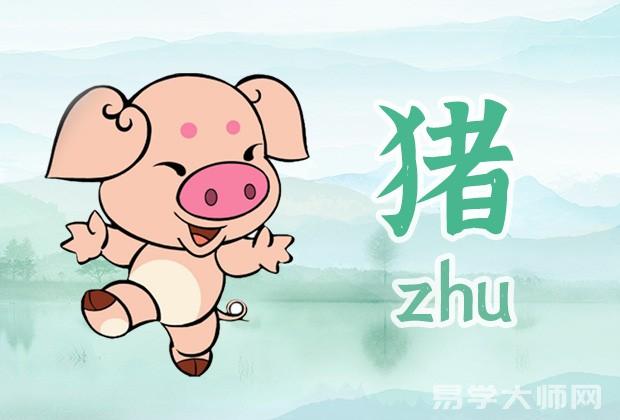 属猪今日运势查询