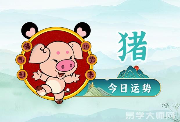 生肖猪今日运势：2022年8月29日猪