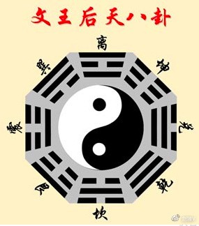 专题图片:大门口植物风水 门口适合摆放的植物