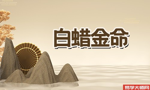 2001年的白蜡金命好吗？