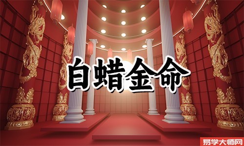 白蜡金的男命怎么样？