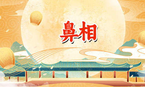 鼻头有肉鼻翼无肉面相好不好?
