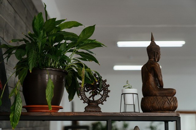 专题图片:文昌贵人在日柱蕞好，作用蕞大！