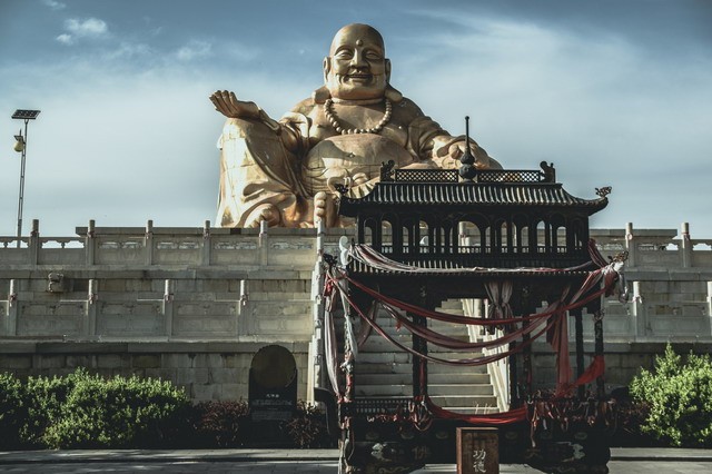 属兔的人在2024年几岁解析：命理大师解读生肖兔的年龄与运势