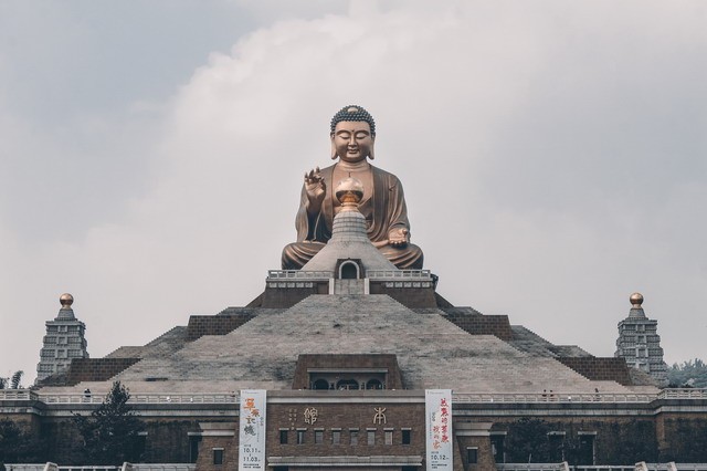 水狗命是什么意思