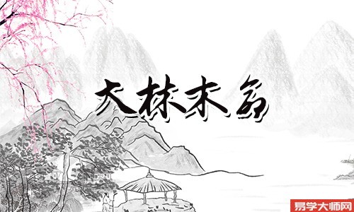 大林木命需要什么来旺
