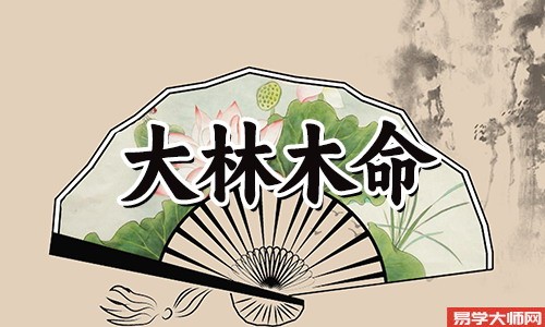 大林木命与其他金命合作做生意会怎样?