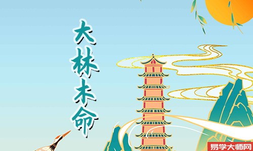 适合大林木命的五行行业有哪些,强旺五行需知?