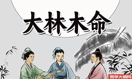 山下火命的人和大林木命的人合适吗