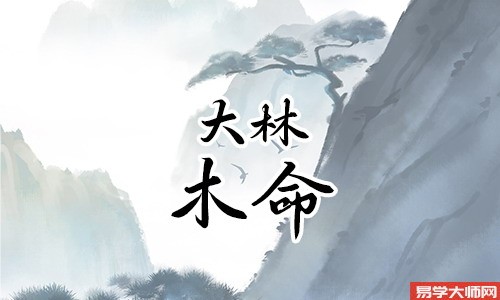 大林木命的人一般都有哪些特点?