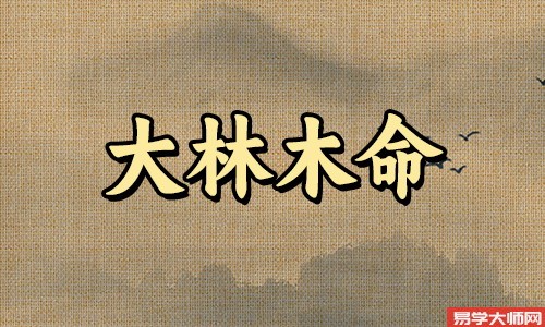 大林木命人的禁忌有哪些?