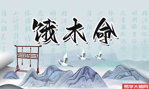饿木命人适合穿什么颜色的衣服?