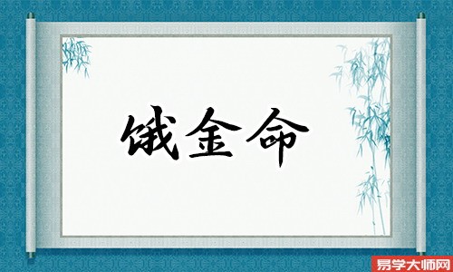 求同存异,饿金命人和什么命比较搭配?