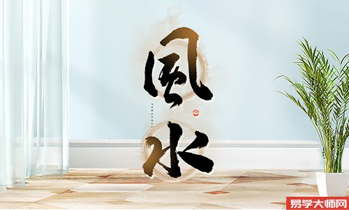 专题图片:客厅摆放招财树需要注意哪些问题