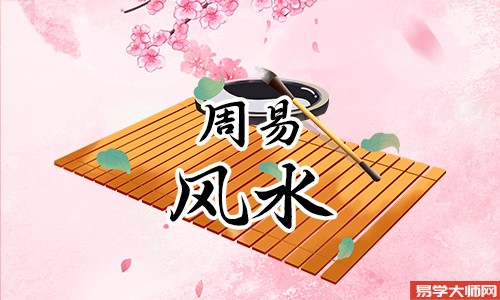 家里飞进蝙蝠风水好吗