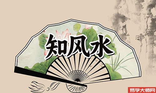 家里突然飞来鸟好吗