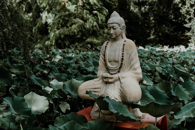 专题图片:白腊金命的人的桃花运怎么样？