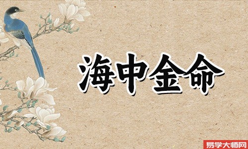 海中金命的男人怎么样才能找个好老婆?