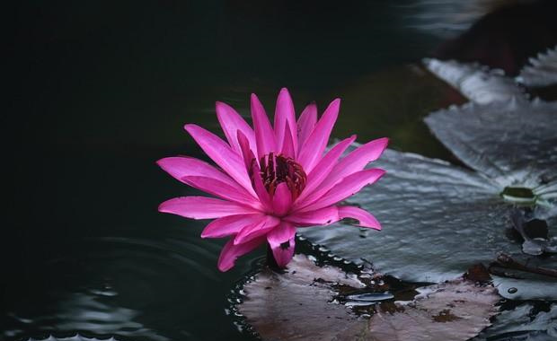 专题图片:正财格女命能大富大贵吗