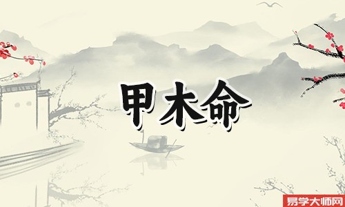 甲木命的男生有哪些特点?