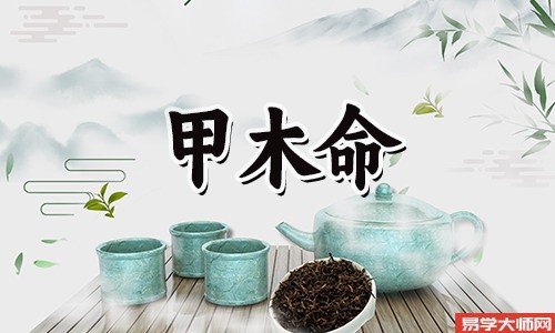 天干日干论财运,日元甲木弱,八字中财星