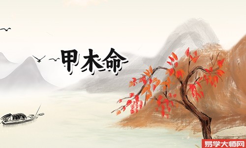 甲木命格的人一般都是什么样的?
