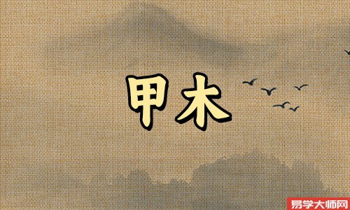 甲木命的女性,事业不断增长