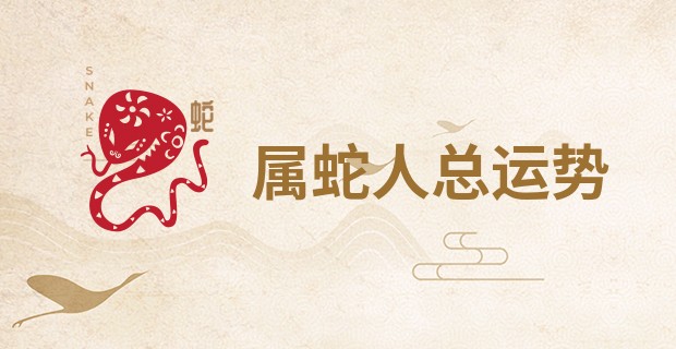 属蛇人总运势