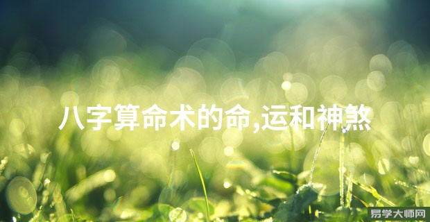 八字算命术的命,运和神煞