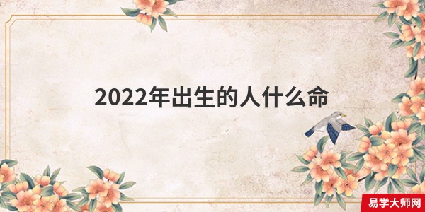 2022年出生的人什么命