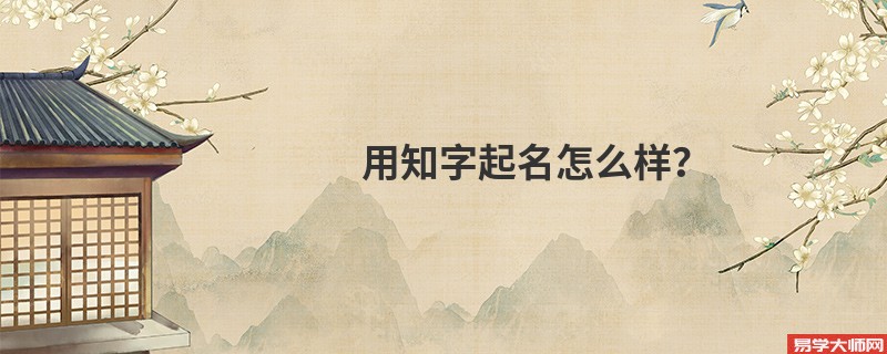 用知字起名怎么样?