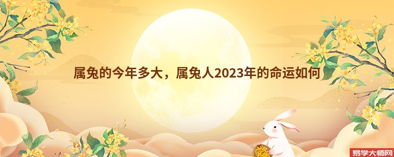 属兔的今年多大,属兔人2023年的命运如何
