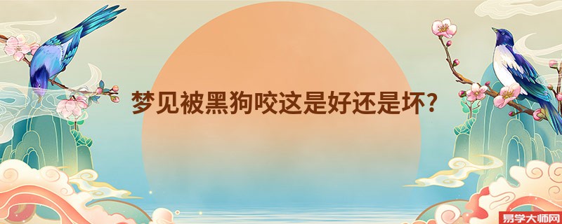 梦见被黑狗咬这是好还是坏?