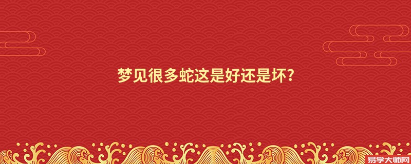 梦见很多蛇这是好还是坏?