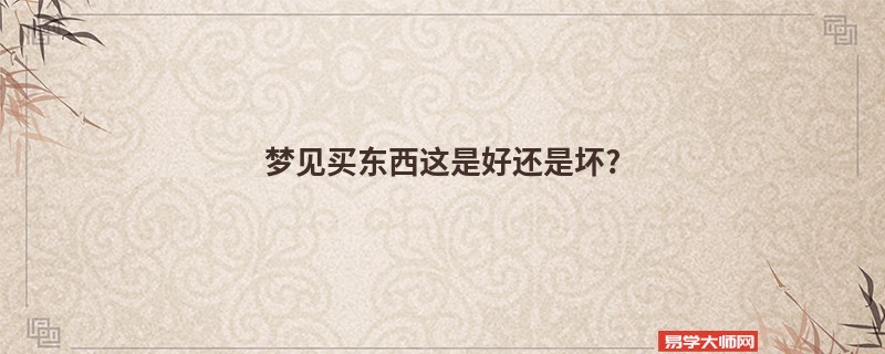 梦见买东西这是好还是坏?