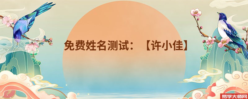 免费姓名测试:【许小佳】