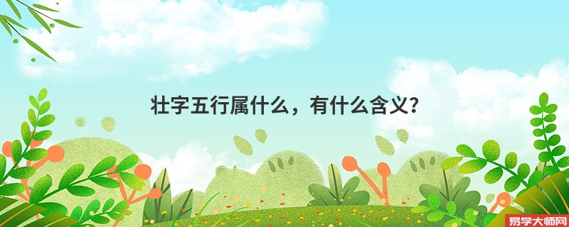 壮字五行属什么,有什么含义?