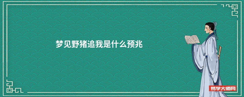 梦见野猪追我是什么预兆