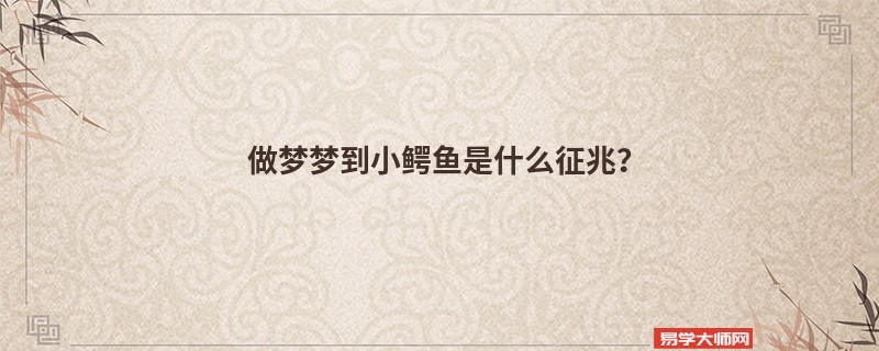做梦梦到小鳄鱼是什么征兆？