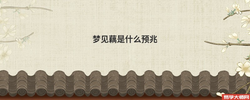 梦见藕是什么预兆