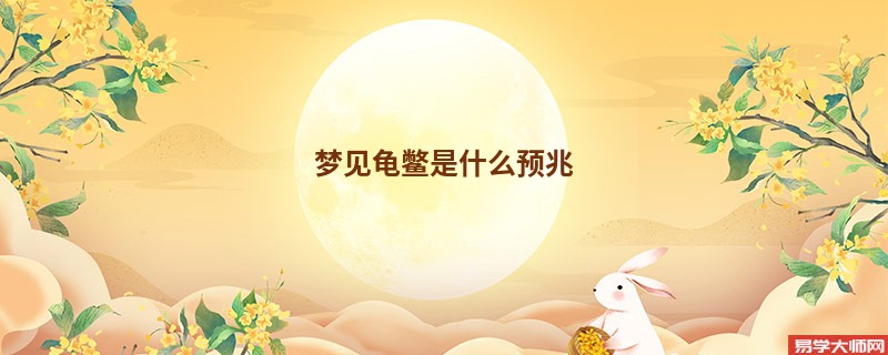 梦见龟鳖是什么预兆