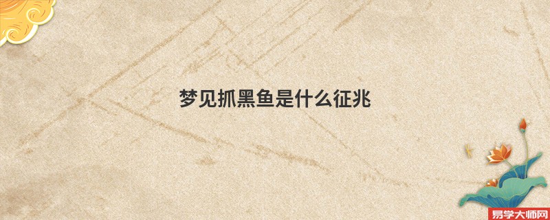 梦见抓黑鱼是什么征兆