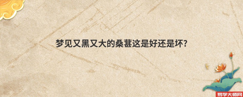 梦见又黑又大的桑葚这是好还是坏?
