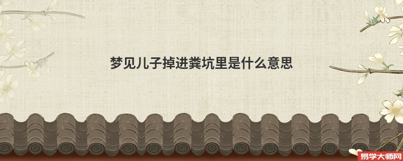 梦见儿子掉进粪坑里是什么意思