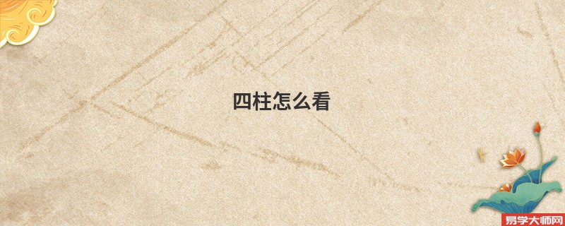 四柱怎么看