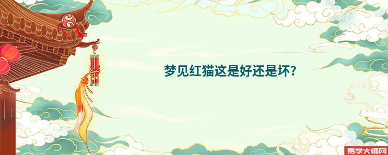 梦见红猫这是好还是坏?