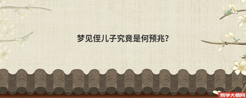 梦见侄儿子究竟是何预兆？