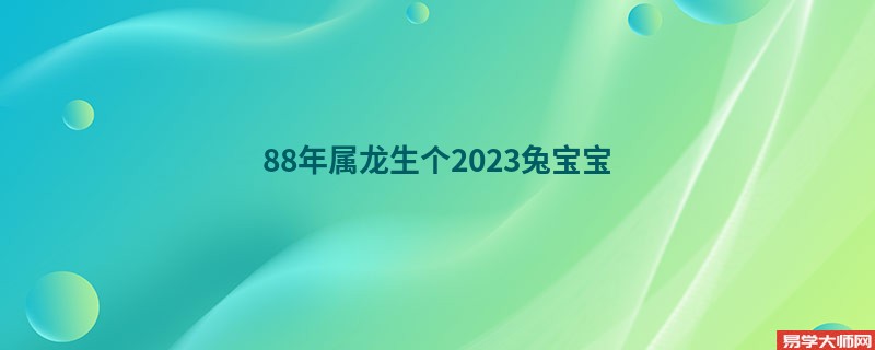 88年属龙生个2023兔宝宝 八字合不合？