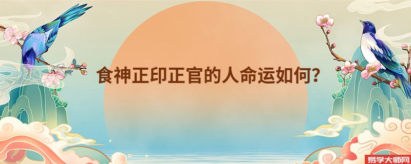 食神正印正官的人命运如何？